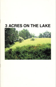 29. 3 Acres on the Lake: DuSable Park Proposal Project, Laurie Palmer, October 2000.